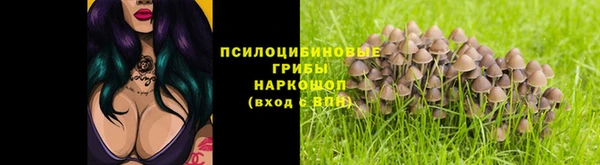 бутират Арсеньев