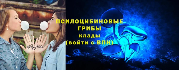 прущий лед Аркадак